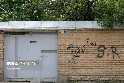 دیوارنویسی
