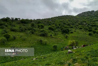 دره ارغوان