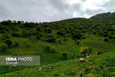 دره ارغوان
