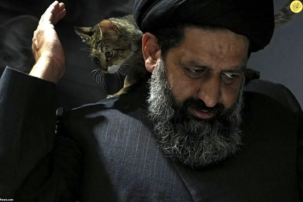 محبوبیت این روحانی در قم، جهانی شد | درخواست عجیب از آمریکا برای سگ های ولگرد در ایران  + عکس