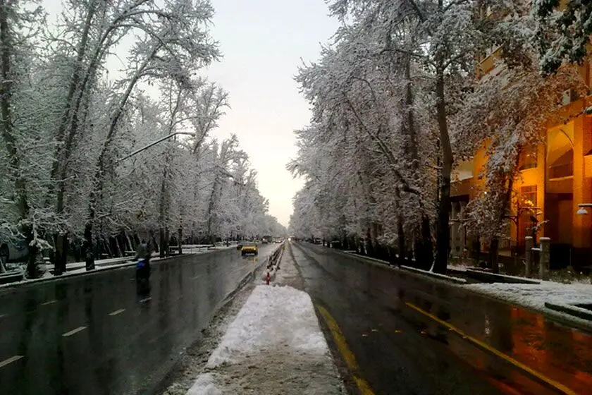 خیابان ولیعصر را چه کسی زیبا کرد؟+تصاویر
