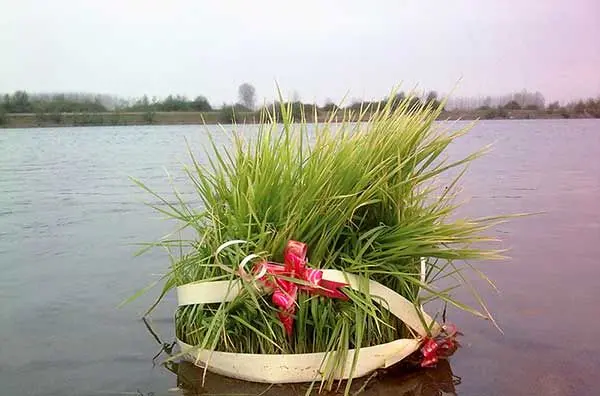 سیزده بدر ۱۴۰۳ چند شنبه است + ۱۳ بدر چه روزی است؟
