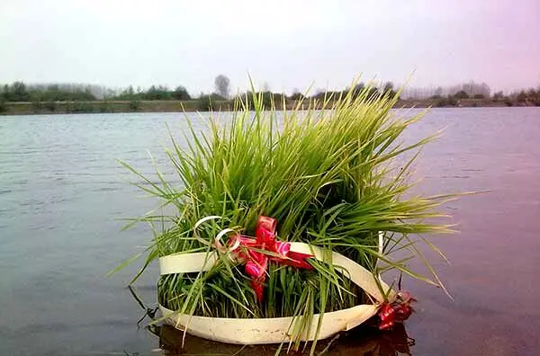 سیزده بدر ۱۴۰۳ چند شنبه است + ۱۳ بدر چه روزی است؟
