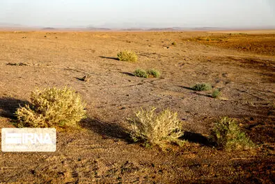 تالاب گاوخونی