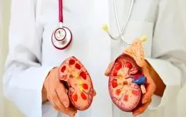 با خوردن زیاد این خوراکی‌ها سنگ کلیه می‌گیرید