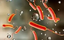 این بیماری خطرناک در فصل بهار در کمین است