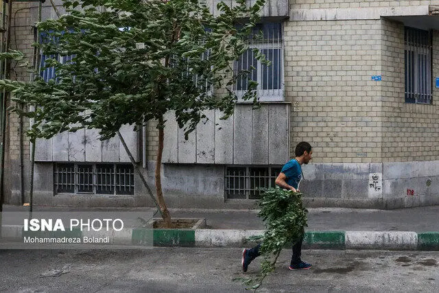 بارش باران و وزش باد در راه تهران