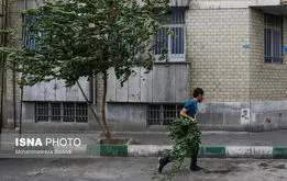 بارش باران و وزش باد در راه تهران