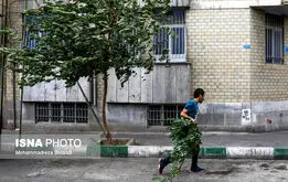 بارش باران و وزش باد در راه تهران