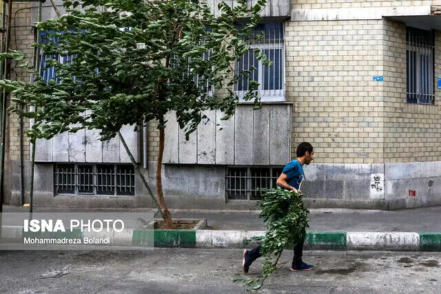 بارش باران و وزش باد در راه تهران
