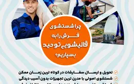 7 ماده غیرسمّی برای تمیز کردن فرش

