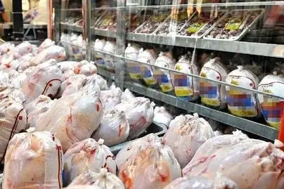 قیمت مرغ رسما گران شد