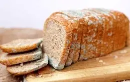 مواد غذایی کپک‌زده را بخوریم یا دور بریزیم؟