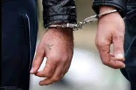 غافلگیری 7 شرور خطرناک در خانه مجردی