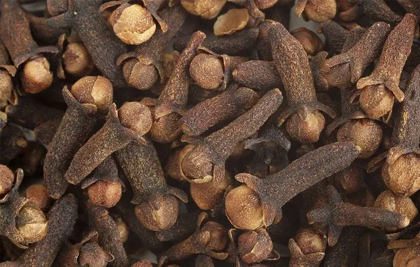 «میخک» چه خواصی دارد؟