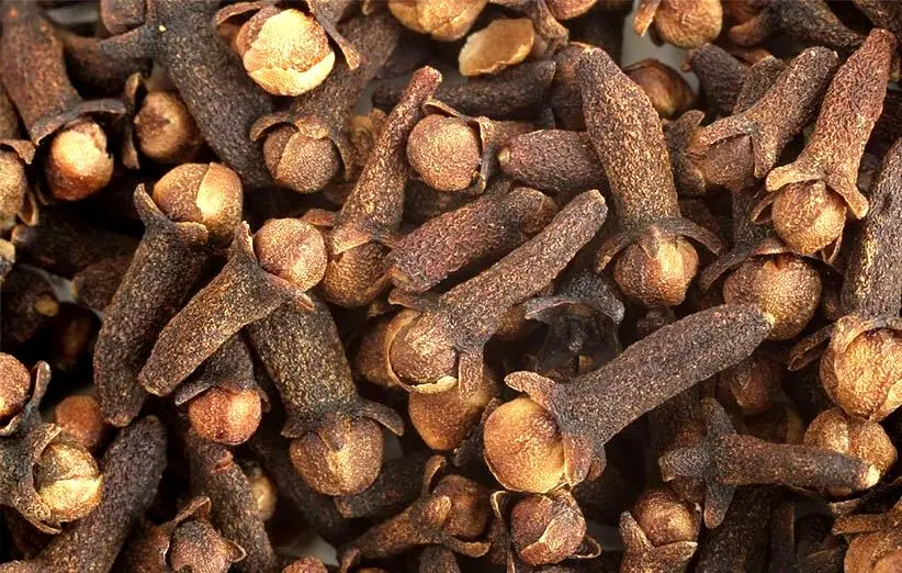 «میخک» چه خواصی دارد؟