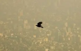 نسخه رمانتیک شهرداری برای آلودگی هوا: عاشق شوید، ماشین نیاورید 