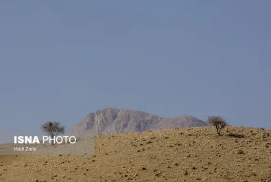 تصاویری دیدنی از منطقه حفاظت شده خجیر و سرخه حصار