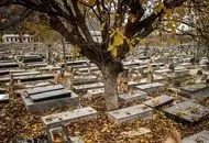 آرامستان جدید تهران بلاتکلیف ماند