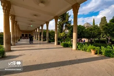 حافظ