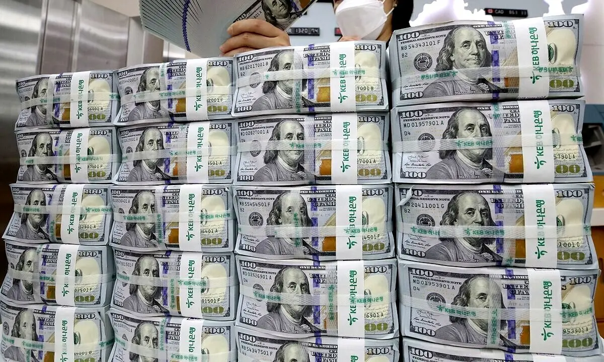 پشت پرده گرانی دلار؛ از جیب هر ایرانی ۶ میلیون تومان برداشتند!
