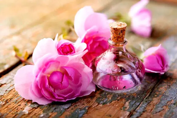 خواص بی‌نظیر گلاب که نمی‌دانستید
