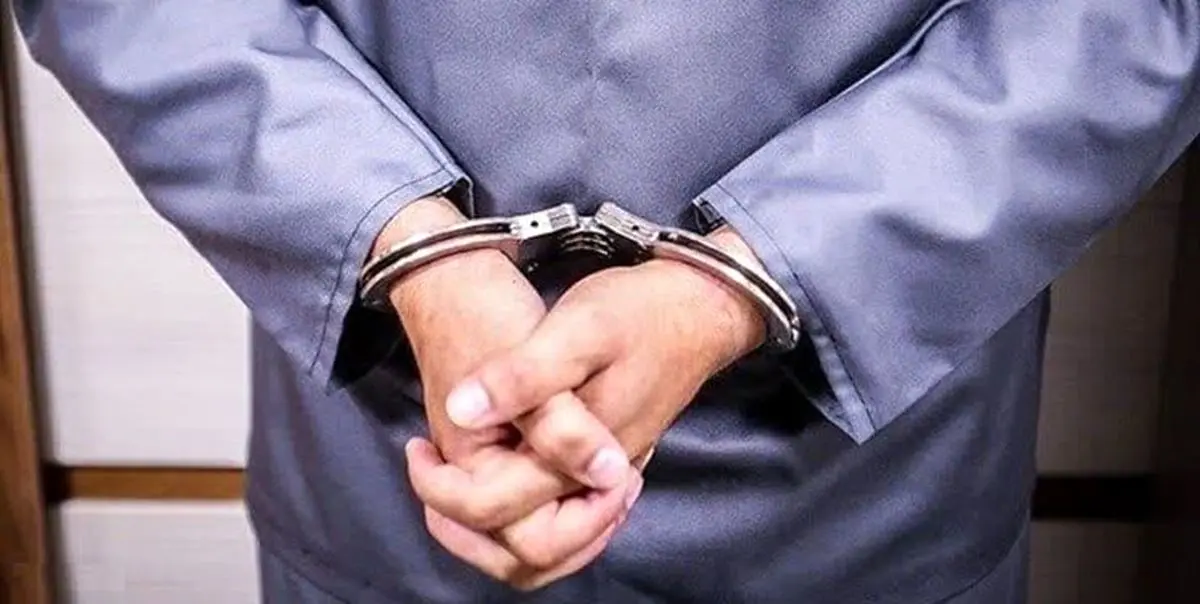  مسئول یک شهربازی به دلیل حمایت از یک زن بی حجاب بازداشت شد  + فیلم