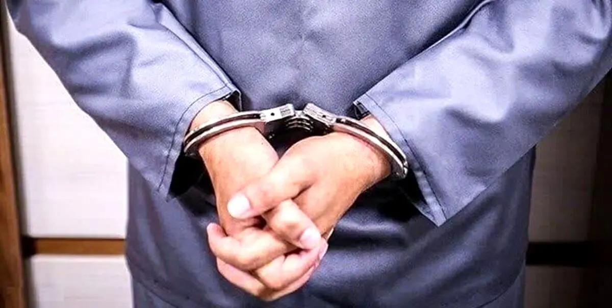  مسئول یک شهربازی به دلیل حمایت از یک زن بی حجاب بازداشت شد  + فیلم