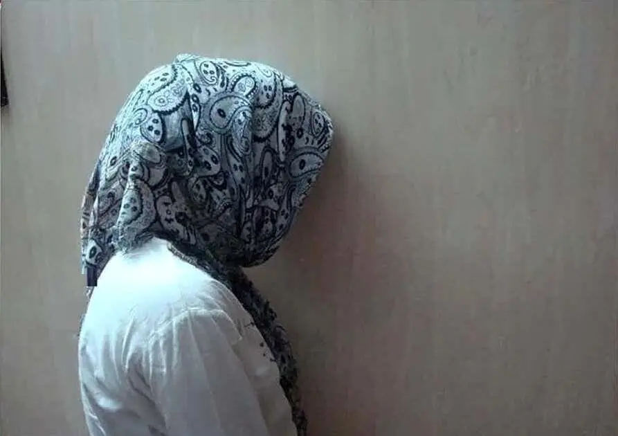 دستگیری خواهر و برادر سارق با ۸۵ فقره سرقت!