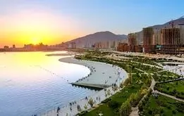 دریاچه چیتگر خشک می شود؟ ماجرای خشک شدن درختان چیتگر چیست؟