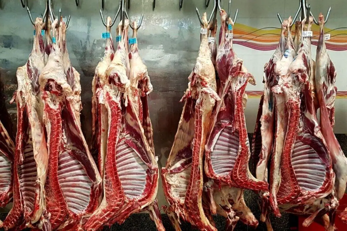 قیمت گوشت گوسفندی یک و نیم میلیونی شد + جدول