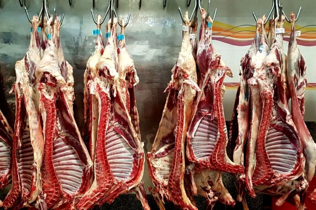 قیمت گوشت گوسفندی یک و نیم میلیونی شد + جدول