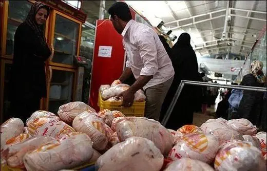 شرط و شروط آقای وزیر برای فروش مرغ منجمد