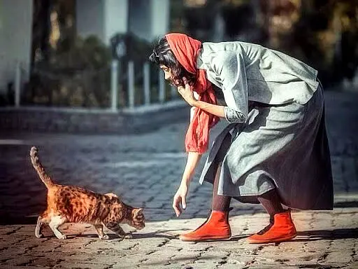 هفت باور اشتباه و پرتکرار درباره سگ و گربه
