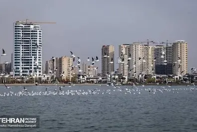 مهاجران اروپای شرقی به تهران آمدند