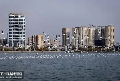 مهاجران اروپای شرقی به تهران آمدند