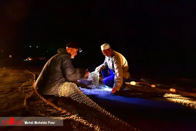 صید ماهی استخوانی - مازندران