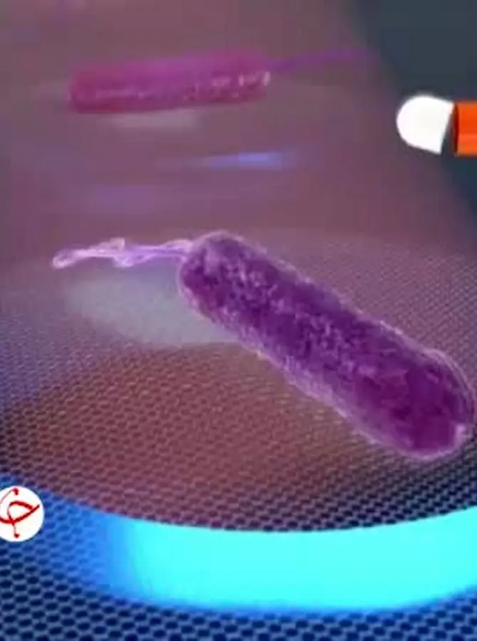 ببینید | سروصدای ریزترین موجود جهان