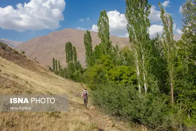 شغل میرآب