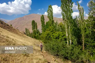شغل میرآب