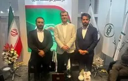 بیمه البرز کد 8243