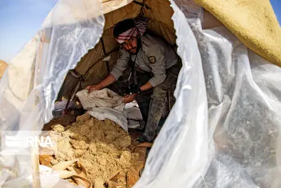 نگهبانان تالاب هورالعظیم
