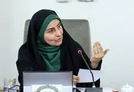 برکناری مدیرکل فرودگاه به خاطر بازرسی کیف خانم وزیر!