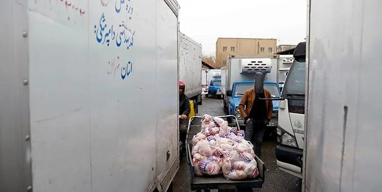  خریدوفروش مافیایی مرغ در کوچه‌پس‌کوچه‌های میدان بهمن
