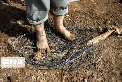 نگهبانان تالاب هورالعظیم