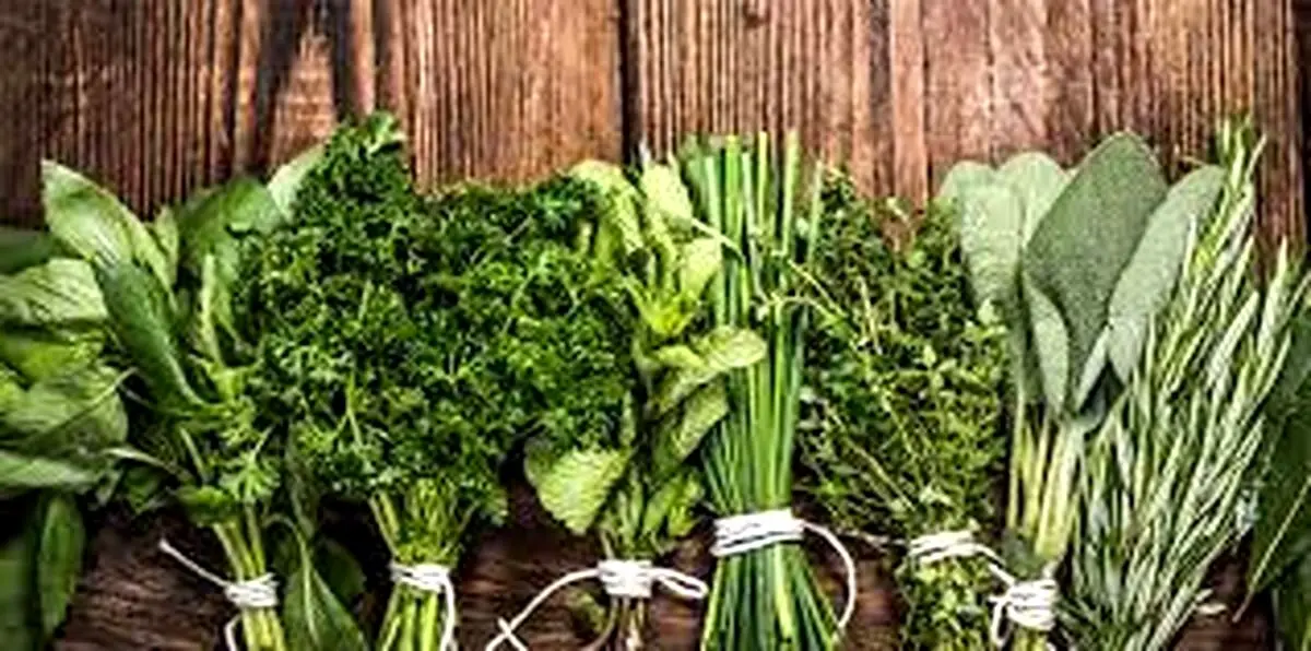 استفاده باور نکردنی از مو برای پرورش گیاه