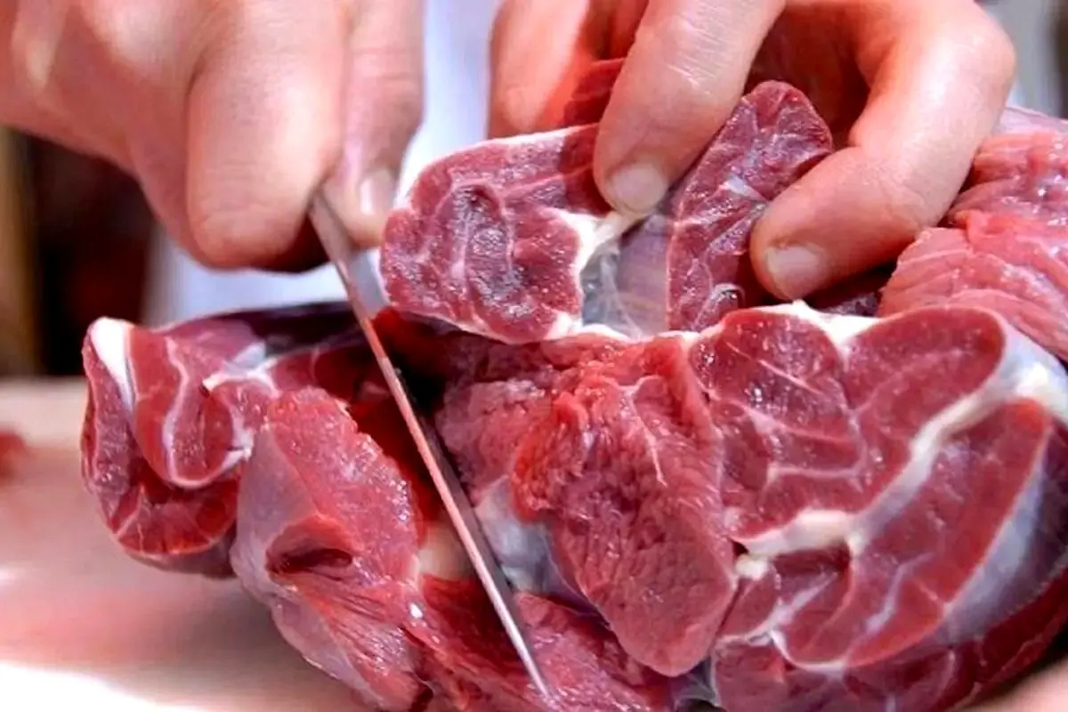 گوشت وارداتی ۳۰ درصد گران‌تر از قیمت واقعی!