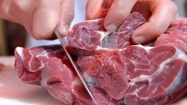 چرا گوشت تنظیم بازاری پیدا نمی‌شود؟