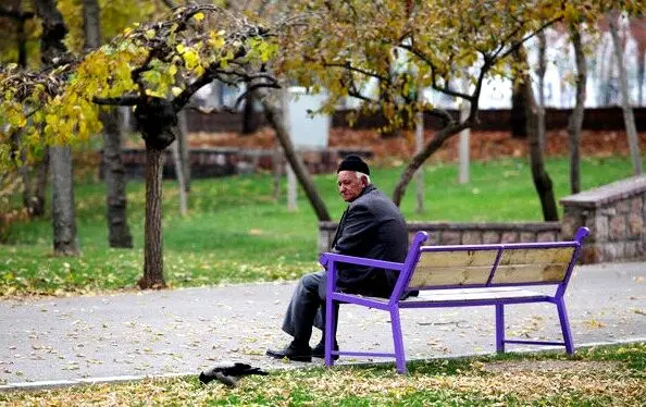 افزایش حقوق بازنشستگان تامین اجتماعی و کشوری انجام شود | گرانی‌ها برای بازنشستگان و کارمندان جبران شود