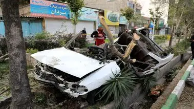 سقوط وحشتناک درخت، پراید را نصف کرد!